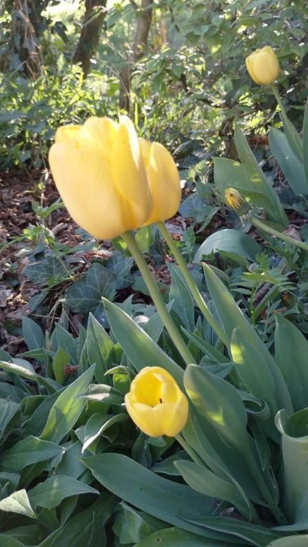 מלון Rémalard Moulin De Boiscorde Au Centre Du Perche מראה חיצוני תמונה