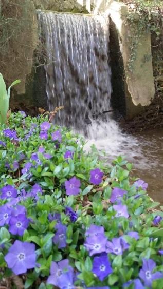 מלון Rémalard Moulin De Boiscorde Au Centre Du Perche מראה חיצוני תמונה